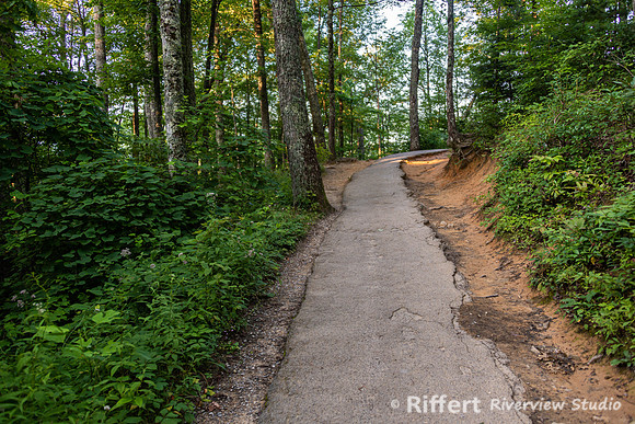 Laurel Falls Trail