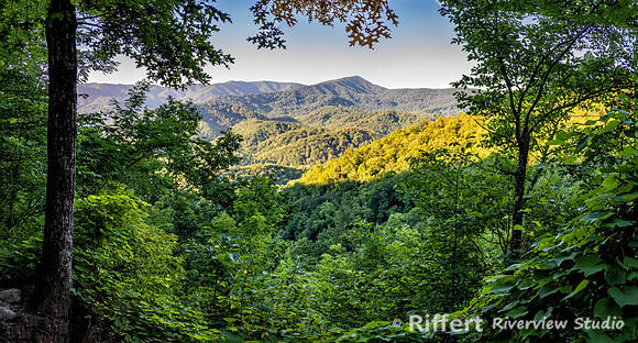 Laurel Falls Trail