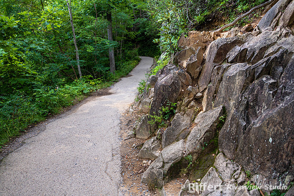 Laurel Falls Trail