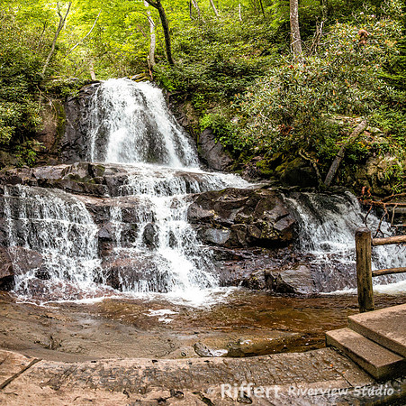 Laurel Falls Trail