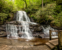 Smokey Mountains, TN