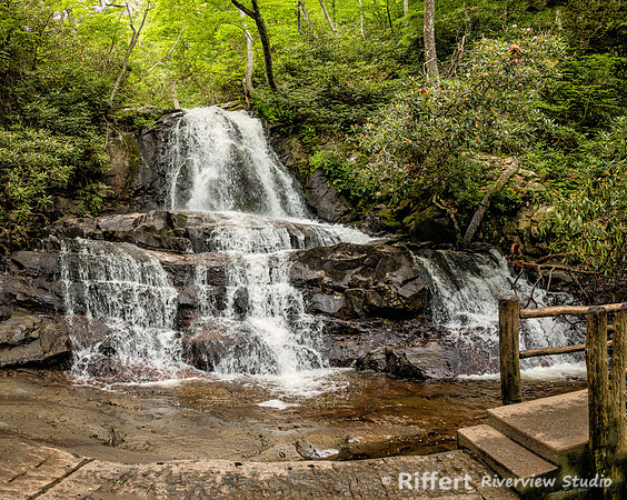 Laurel Falls Trail