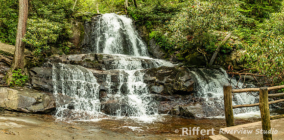 Laurel Falls Trail