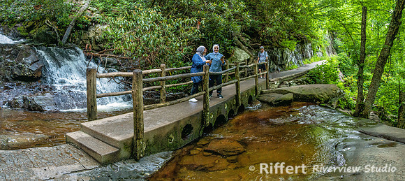 Laurel Falls Trail