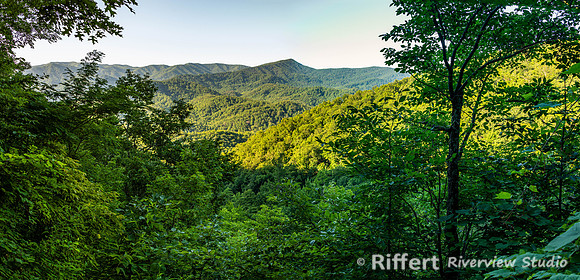 Laurel Falls Trail