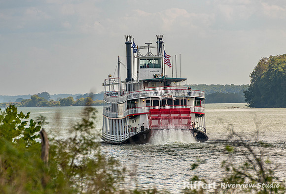 Natchez Steamer