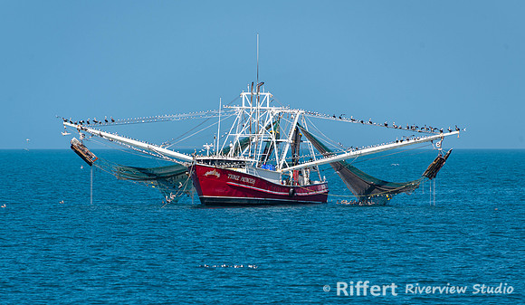 Three Princess Shrimp Boat