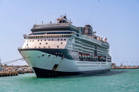 Celebrity Infinity