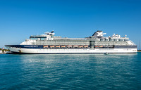 Celebrity Infinity