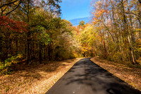 Kentucky-Barkley Lakes Area