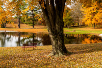 Autumn Reflections