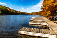 Ferdinand State Forest