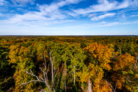 Ferdinand State Forest