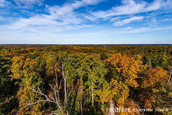 Ferdinand State Forest
