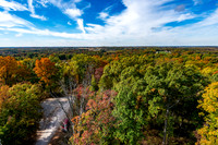 Ferdinand State Forest