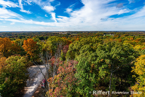 Ferdinand State Forest
