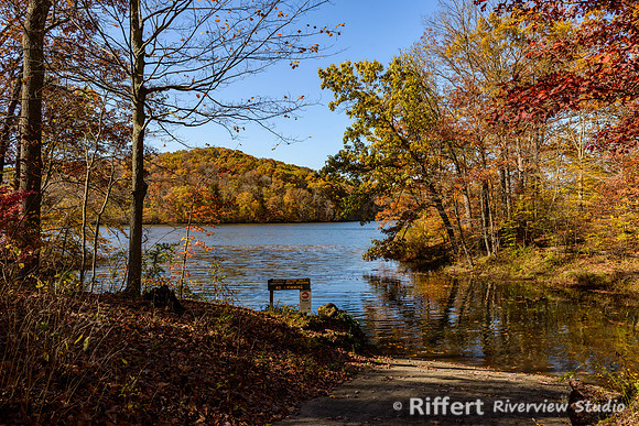 Yellowwood State Forest