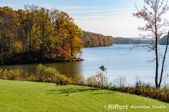 Yellowwood State Forest