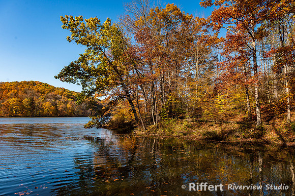 Yellowwood State Forest