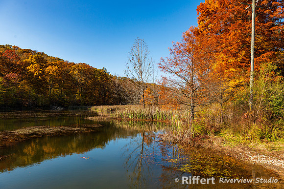 Yellowwood State Forest