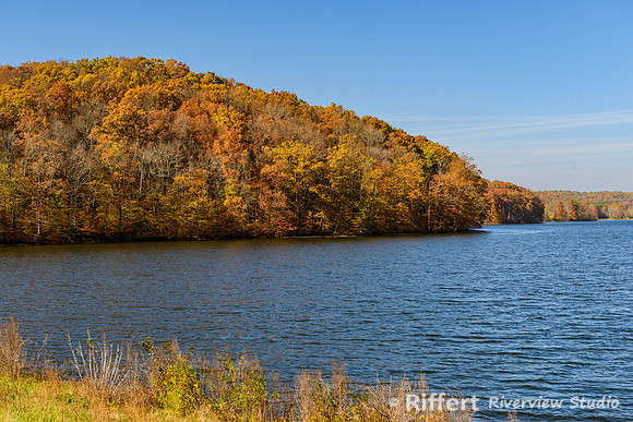 Yellowwood State Forest