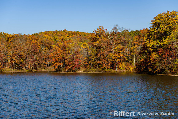 Yellowwood State Forest