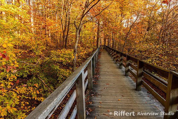 Brown County State Park