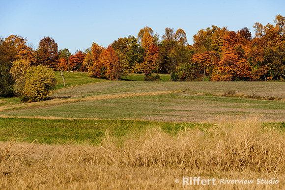 Rural Warrick County