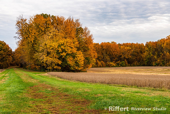 Rural Vanderburgh County