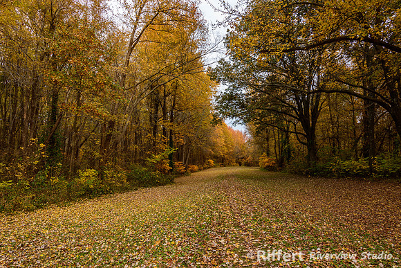 Rural Vanderburgh County