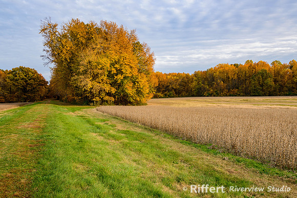 Rural Vanderburgh County