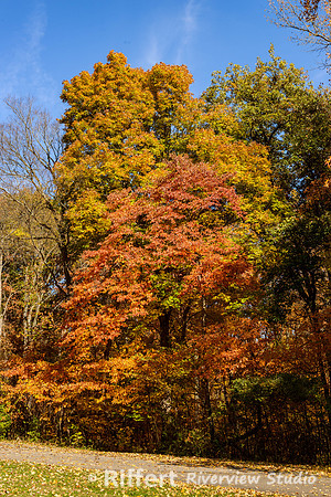 Audubon State Park