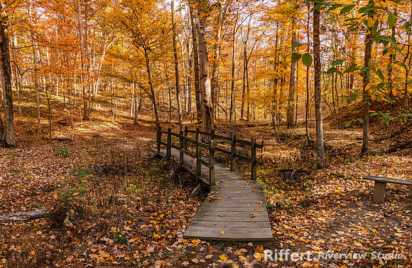 Brown County State Park