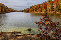 Fall Colors