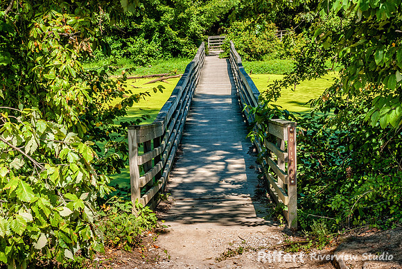 Howell Wetlands