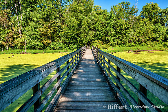 Howell Wetlands