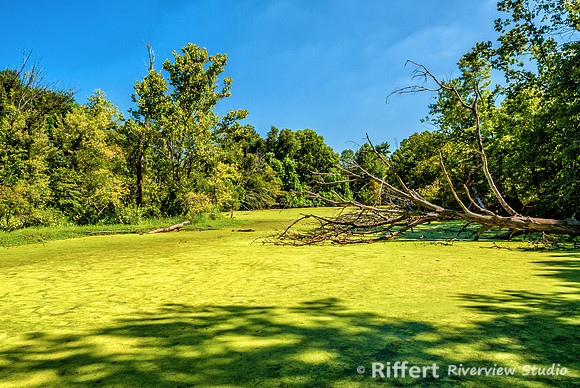 Howell Wetlands