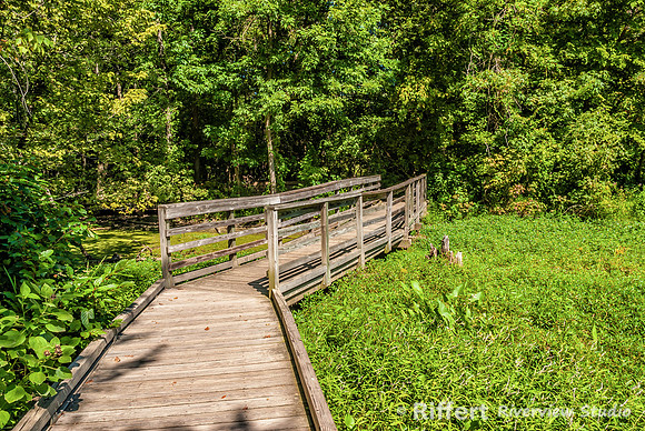 Howell Wetlands