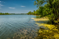 Landscapes