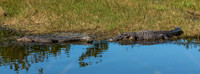 Ten Thousand Islands National Wildlife Refuge