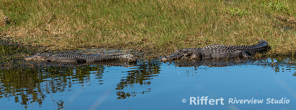 Ten Thousand Islands National Wildlife Refuge